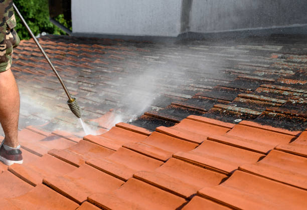 Best Best Pressure Washing Companies  in Kenvil, NJ